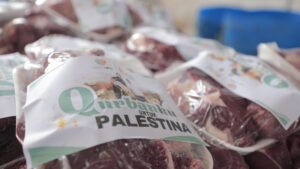 qurban palestina (14)